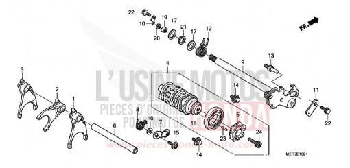 SCHALTTROMMEL (CBF600S8/SA8/N8/NA8) CBF600NA8 de 2008